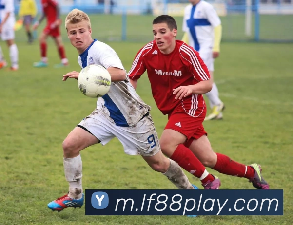 乐发vll品牌故事